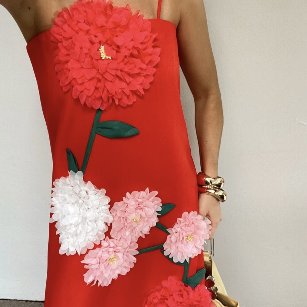 Buttercup Embroidered Maxi in Red
