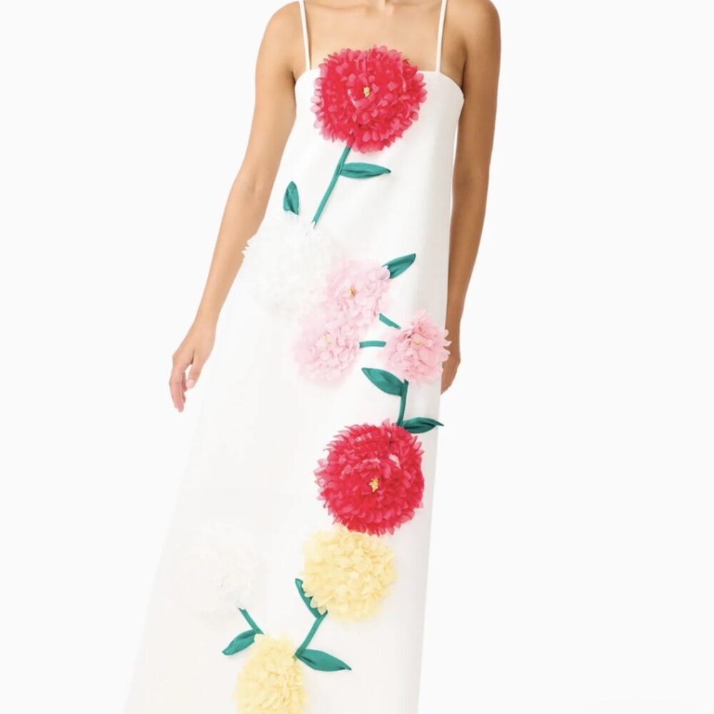 Buttercup Embroidered Maxi in White